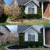 C.D Landscaping photo 3
