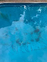 Aqua-Don Pool Service & Supplies photo 7