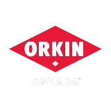 Orkin Canada Pest Control photo 8