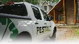 PESTOUT