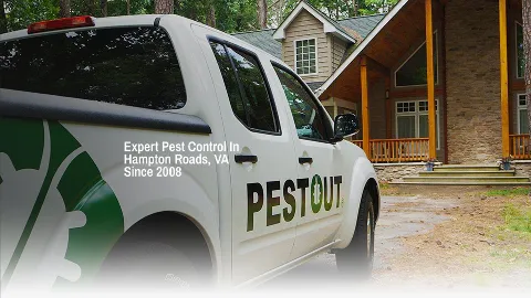 PESTOUT photo 1