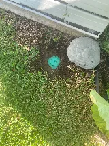 McCall Pest & Wildlife - Tampa photo 7