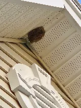 Colonial Pest Control Inc. photo 8