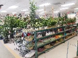 Green Landscape Nursery photo 2