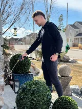 Peachy Pest Control photo 8