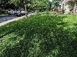 All-Pro Mowing and Landscaping photo 2