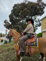 Torrance Lock & Security photo 8