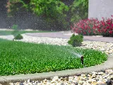 J & C Sod Farm Ltd photo 5