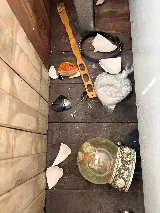 Gilles Lambert Pest Control Services Inc. photo 6