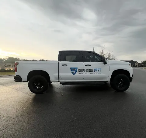 Superior Termite & Pest Control, Inc. photo 1