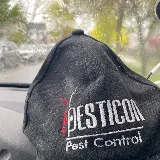 Pesticon Pest Control Vancouver photo 3