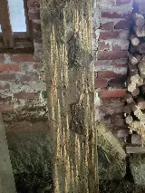 AG Pest Services photo 7