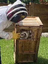 B.B.P.P. Pest Control Vaughan photo 8
