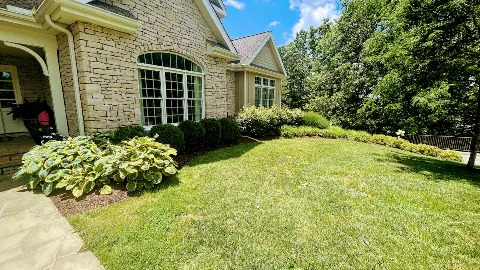 Mountie Scapes Property Solutions in Charleston