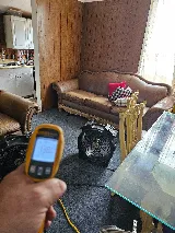 Bay Area Bed Bug photo 3