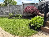 Grazie Landscaping