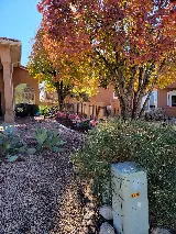 Arborscapes Ground Maintenance and Landscaping, LLC photo 3