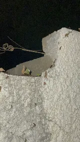 Bug Busters Termite & Pest Control photo 2