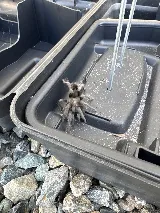 Suncoast Pest Management photo 5