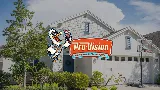 Pro-Vision Painting
