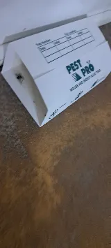 Presto-X Pest Control photo 4