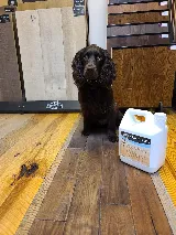 Rustic Wood Floor Supply - Spokane photo 4