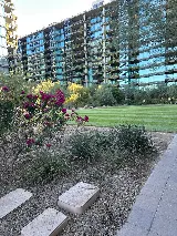 Eliminex Pest, Termite & Weed Control photo 2