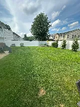 Salcedo Platinum Services LLC photo 2