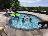 Paragon Pools LLC of Burlington photo 3