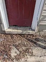 Pest City USA photo 5