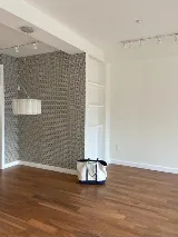 Proline Painting Services Inc. photo 6