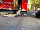 Champion Movers photo 6