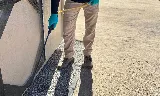Wise Pest Control photo 5