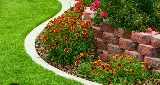 Lone Star Lawns, Arlington, TX photo 8