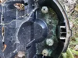 Insight Pest Solutions photo 3