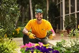 The Grounds Guys of Billings photo 5