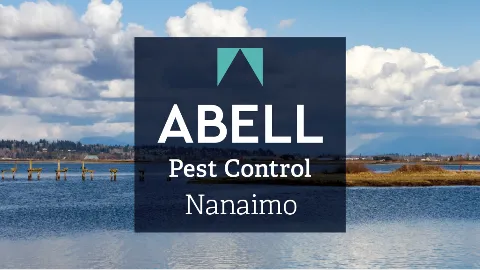 Abell Pest Control in Nanaimo