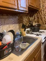 Bug Techs Pest Control Company Inc photo 8
