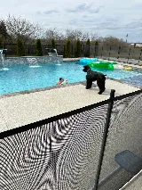 Blue Haven Pools & Spas photo 5