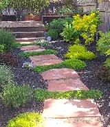 Bountiful Botanicals, Inc. photo 2