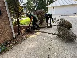 Landscaping Pro LLC photo 2