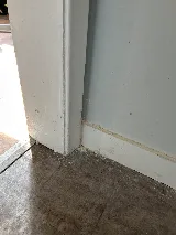 Orkin Canada Pest Control Saskatoon photo 2