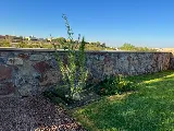 Clean-Cut Lawn Service, INC photo 6