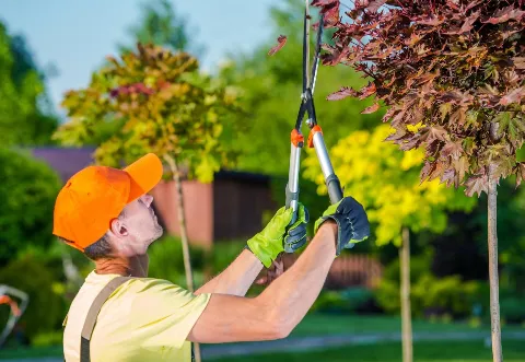 Landscaping Charm Experts Edmonton photo 1