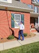 Insight Pest Solutions photo 5