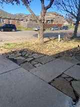 Lawler Lawn Care LLC photo 8