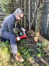 The Green Gardener photo 5