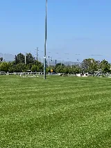 Southern California Landscape