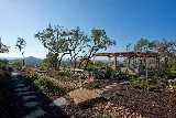 Pristine Landscaping