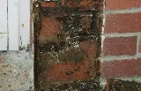 AAA Termite & Pest Control photo 6